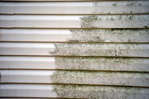 Use Our Siding Cleaning Services to Keep Your Siding in Great Shape