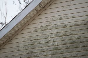Reasons to Choose Soft Washing for Your Exterior House Cleaning Needs