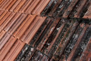 Benefits of Our Residential Roof Cleaning Services
