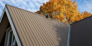 Reasons to Choose Soft Wash Services for Walkway Cleaning